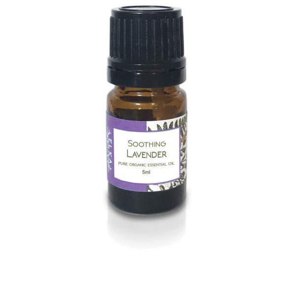 Soothing Lavender Pure Organic Essential Oil