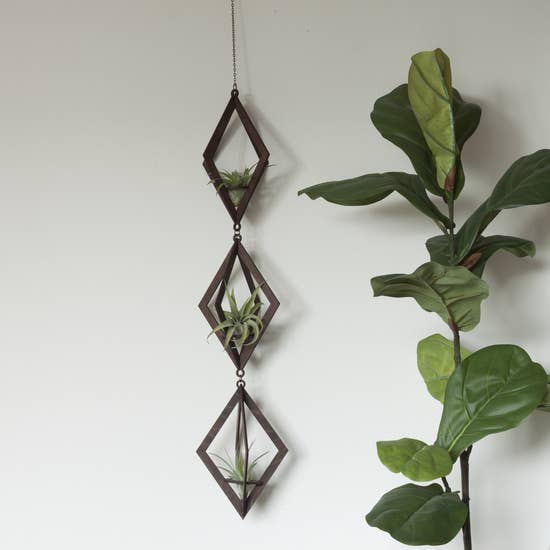 Diamond Walnut Hanger Trio - With Plants picture