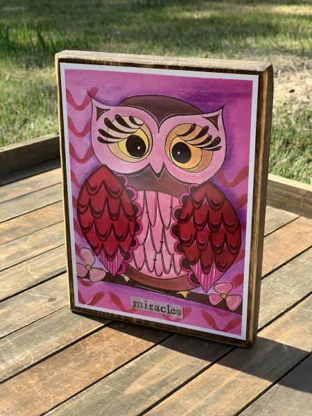Miracles Owl Wall Art picture