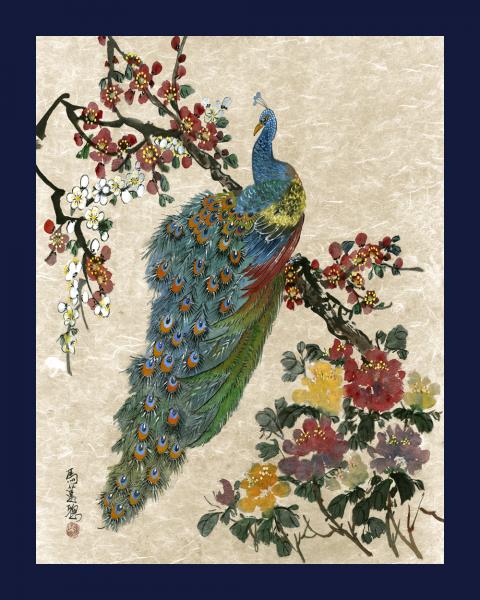 Peacock of Spring and Summer