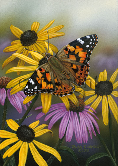 Painted Lady - Canvas Giclee