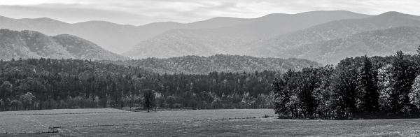 Panorama of Cades Cove in Black and White 8x24