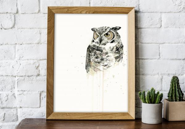 Great Horned Owl - 11x14 Art Print picture