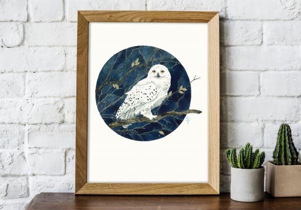 Snowy Owl - 5x7 Art Print picture