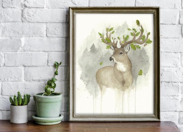 White-tailed Deer - 8x10 Art Print picture