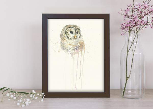 Barred Owl - 8x10 Art Print picture