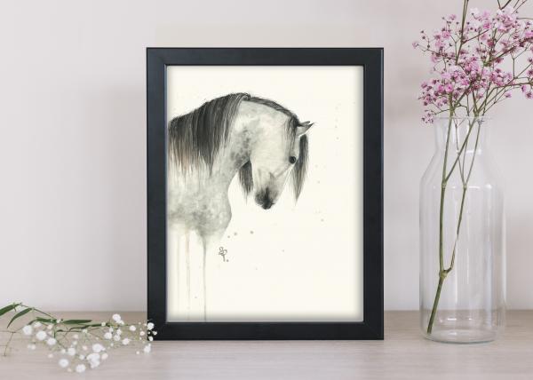 Dapple Grey Horse - 8x10 Art Print picture