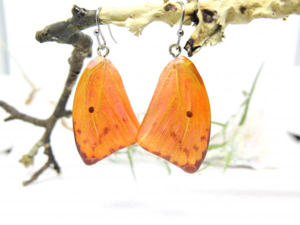 Butterfly wings earrings Lacewing natural picture