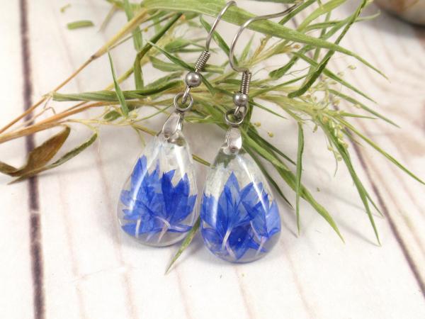 Blue Cornflower dangle pressed flower earrings picture