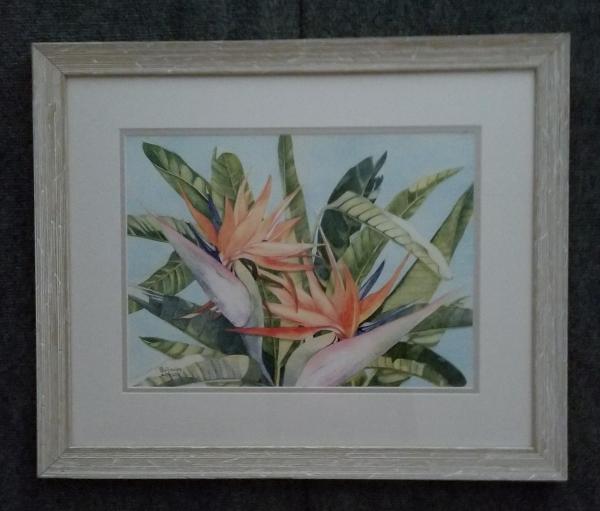 Exotic Orange Bird framed print picture
