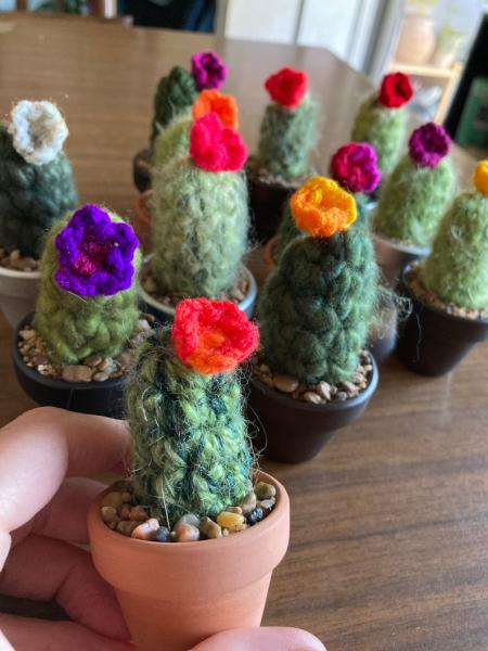 Mini Mystery Crocheted Cactus