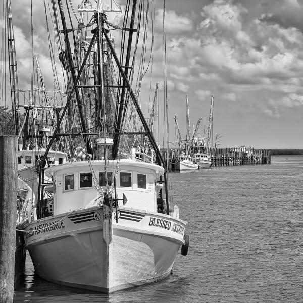 14" x 14" Along the Dock Matted Print picture