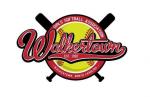 Walkertown Girls Softball Association