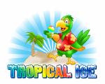 Tropical Ice Company LLC
