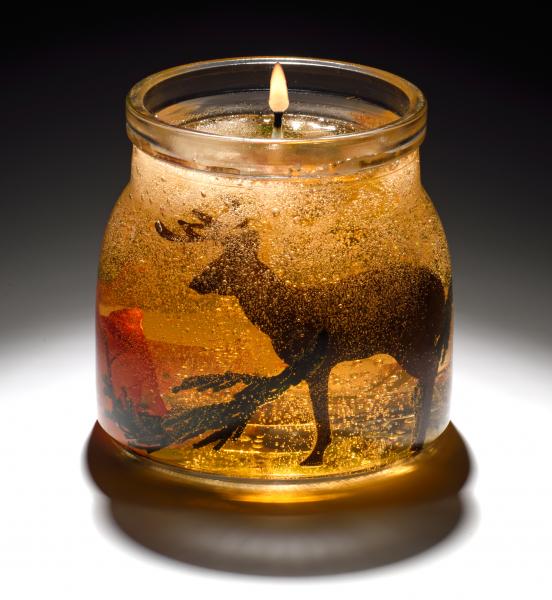 Harvest Spice Gel Candle picture