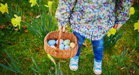 Spring Carnival & Hippity-Hop Egg Hunt cover image