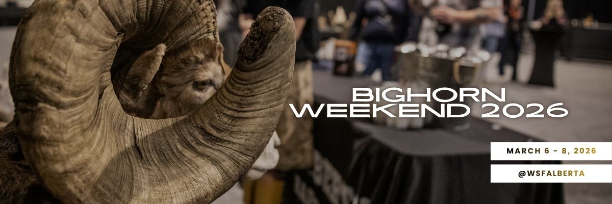 2026 WSFAB Bighorn Weekend