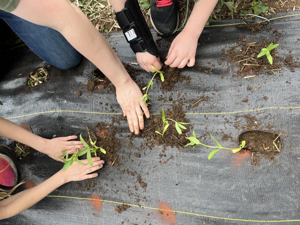 Grow & Learn Garden Club for Kids Ages 8-12 Sign Up cover picture