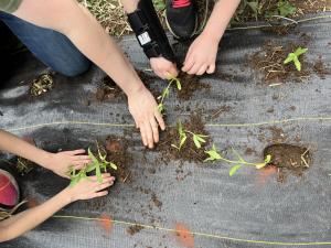 Grow & Learn Garden Club for Kids Ages 8-12 Sign Up cover picture