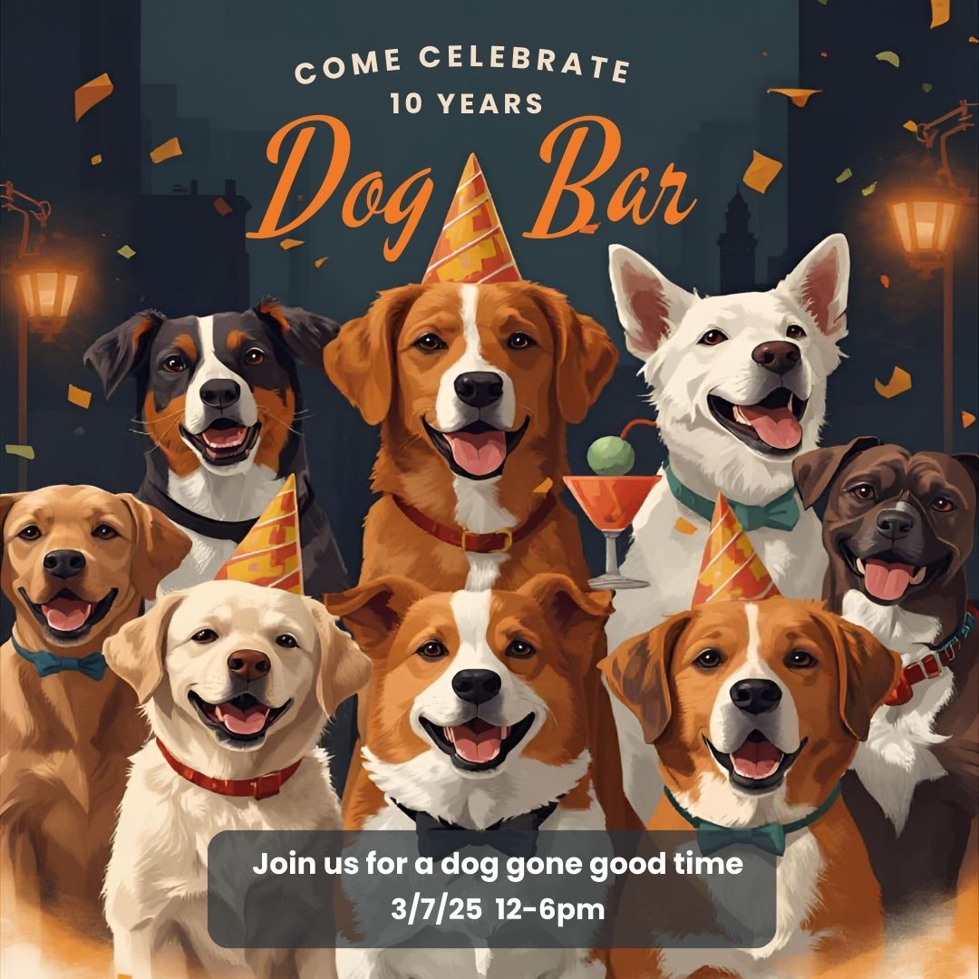Dog Bar 10 year anniversary
