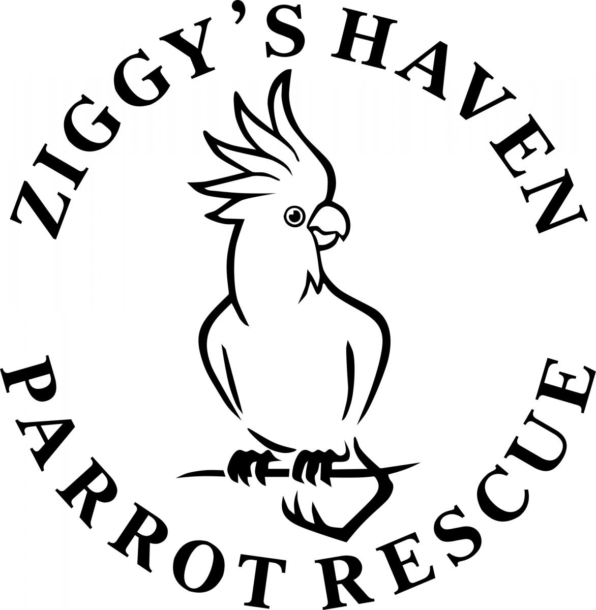 Ziggy's Haven 6th Annual  Open House cover image
