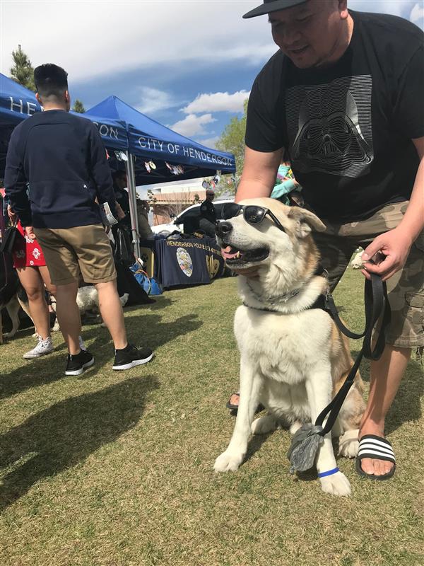 Bark in the Park