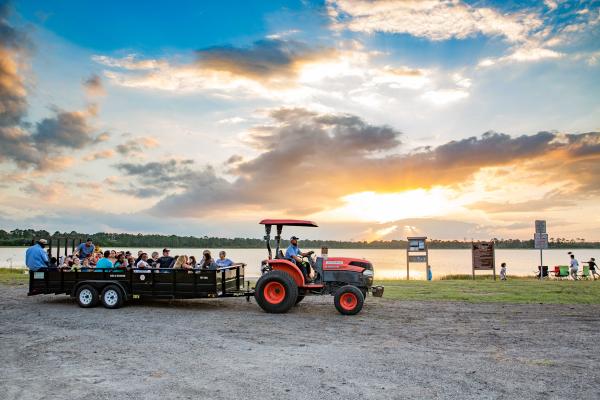 Harvest in the Preserve