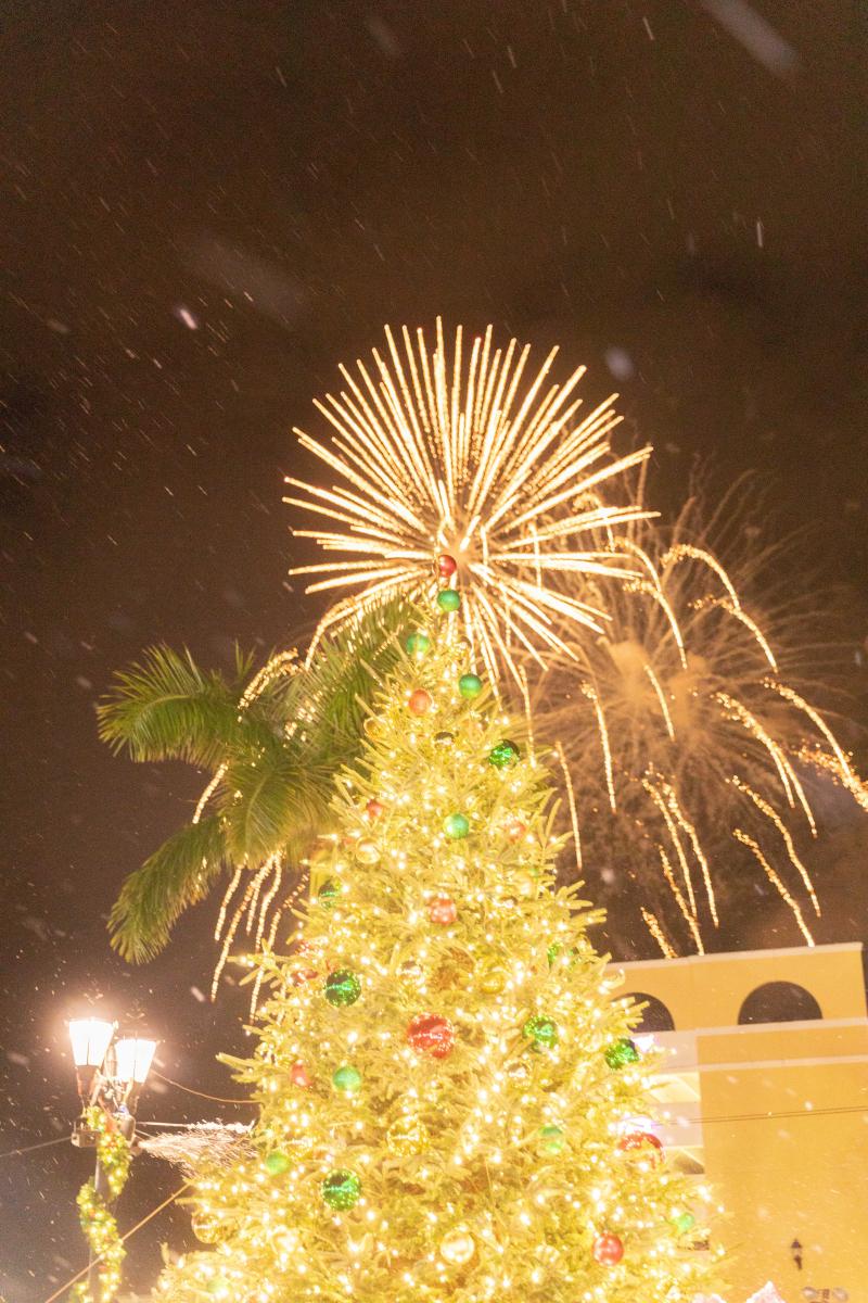 Festival of Lights/PSL in Lights