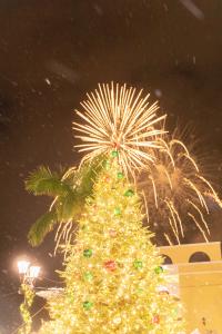 2025 Festival of Lights Parade Application