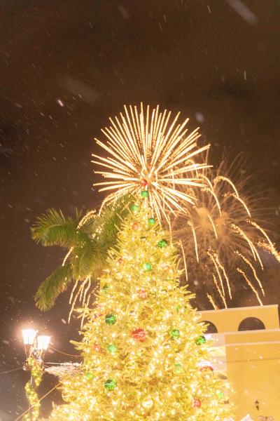 Festival of Lights/PSL in Lights
