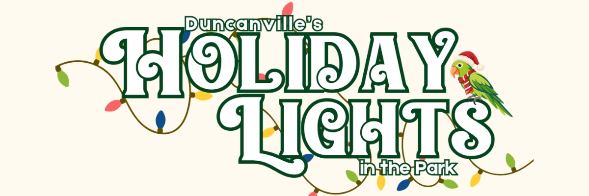 Holiday Lights in the Park