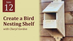 Create a Bird Nesting Shelf cover picture