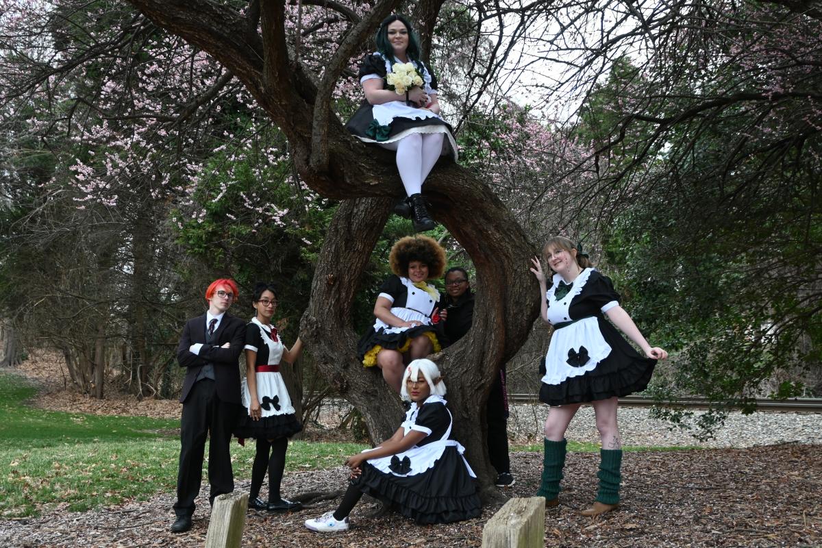 Big Anime Charlotte Cafe