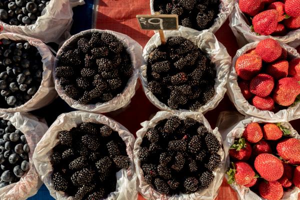 2026 Shreveport Farmers' Market