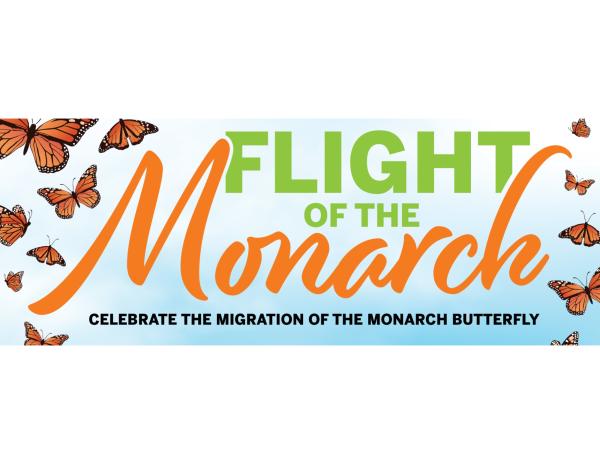 Flight of the Monarch 2025