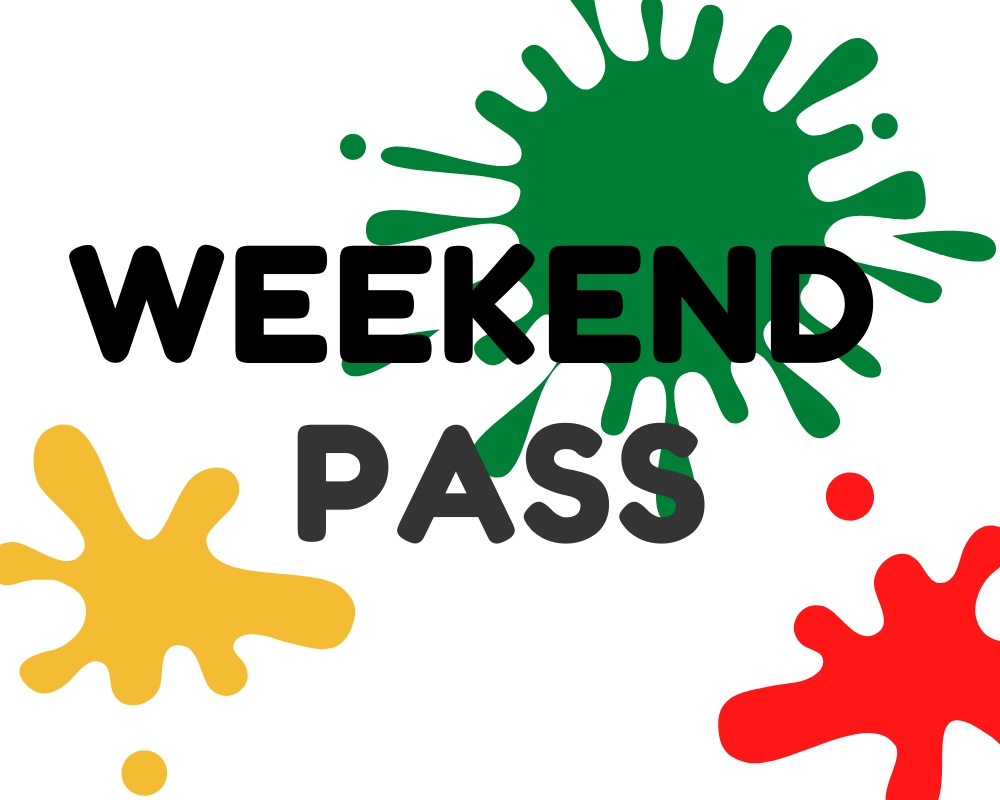 VIP Passes [Weekend Pass] cover picture