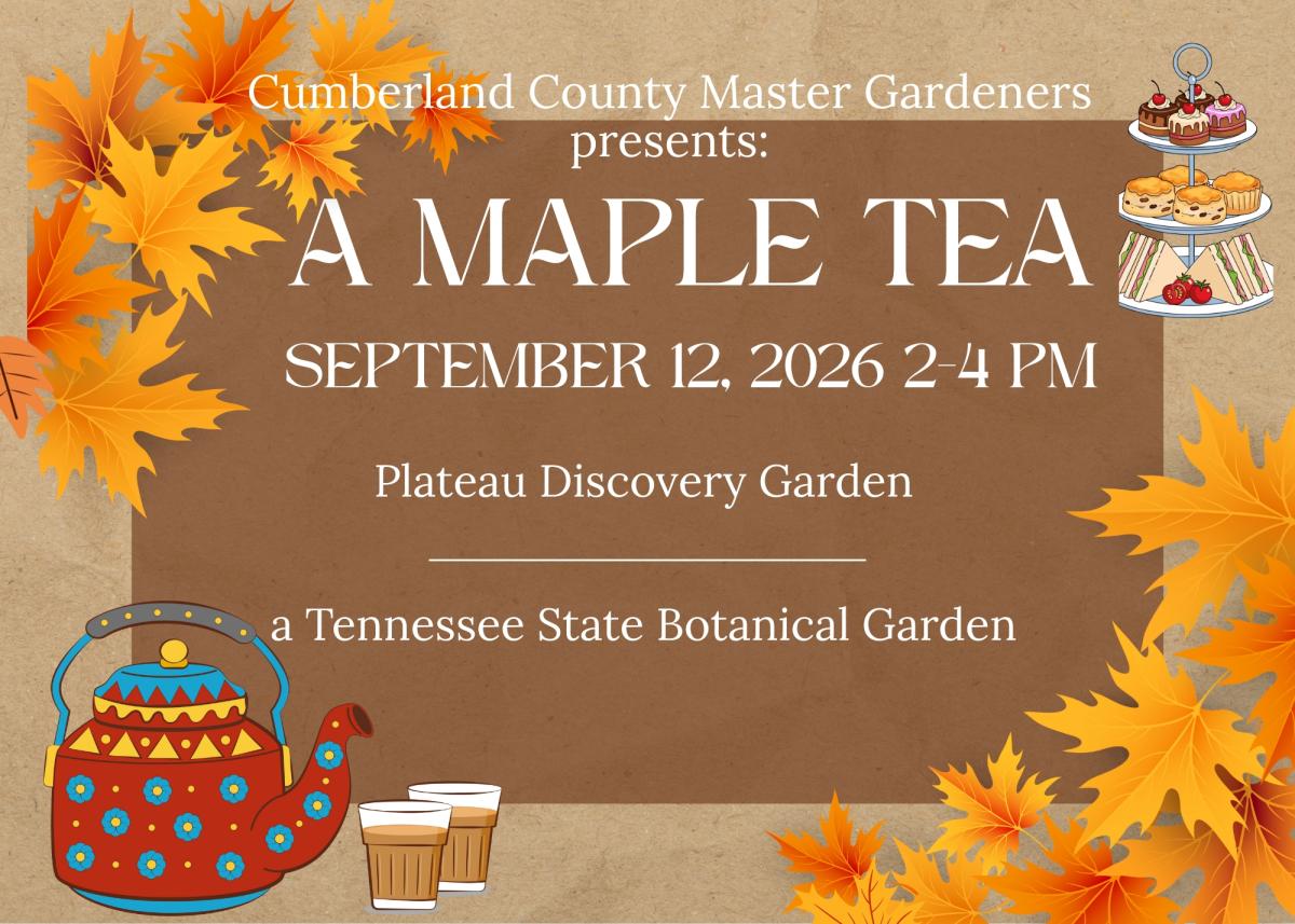 A Maple Tea in the Garden