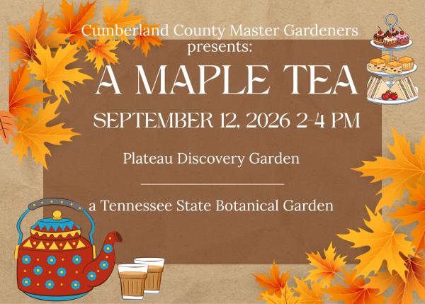 A Maple Tea in the Garden