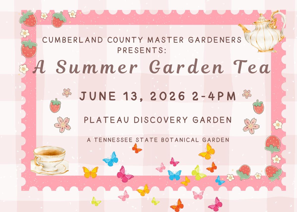 A Summer Garden Tea