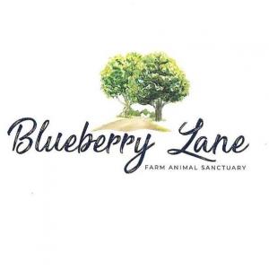 Blueberry Lane Farm Animal Sanctuary