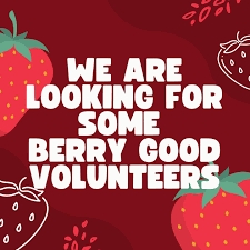 Sunday Volunteers Sunday Volunteers