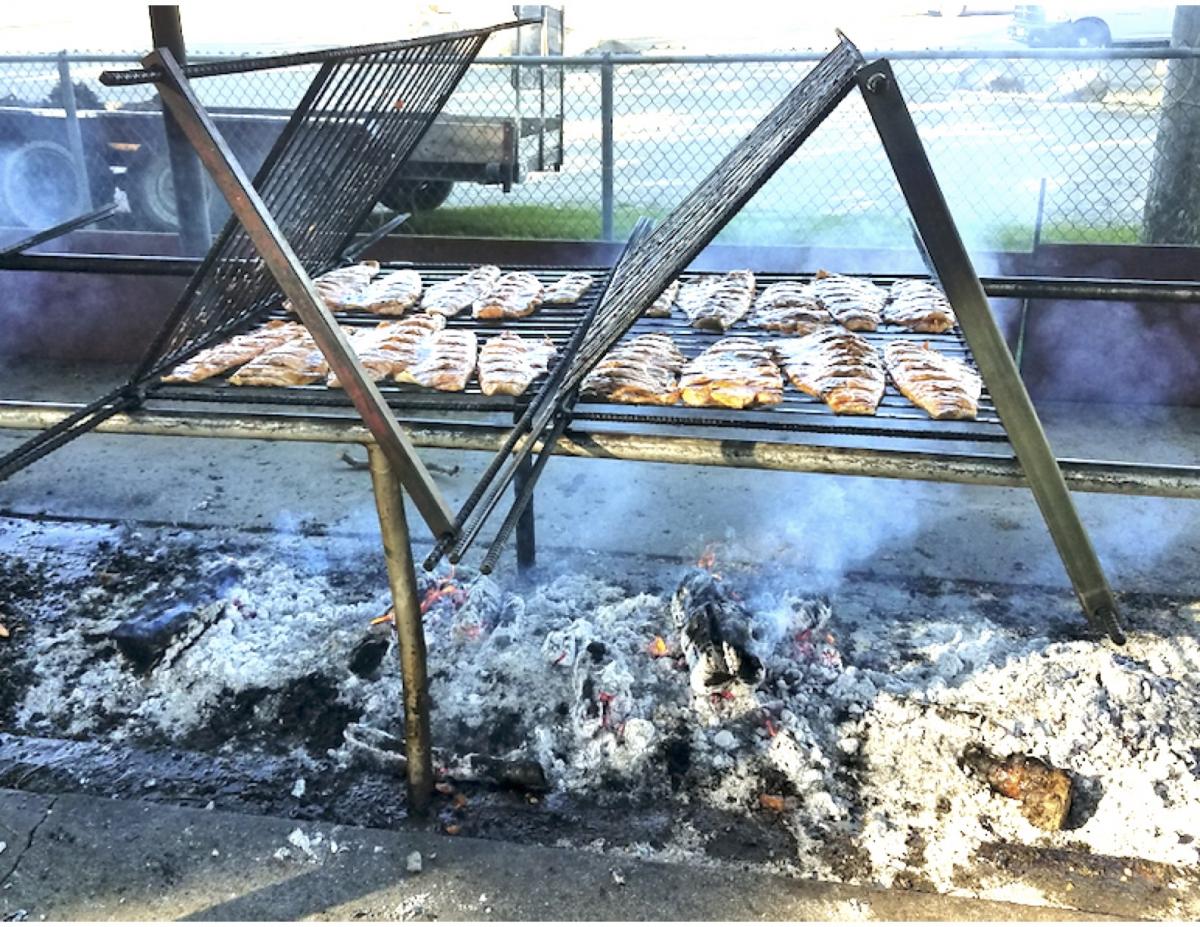 Salmon  Barbecue Dinner Picnic - Copy