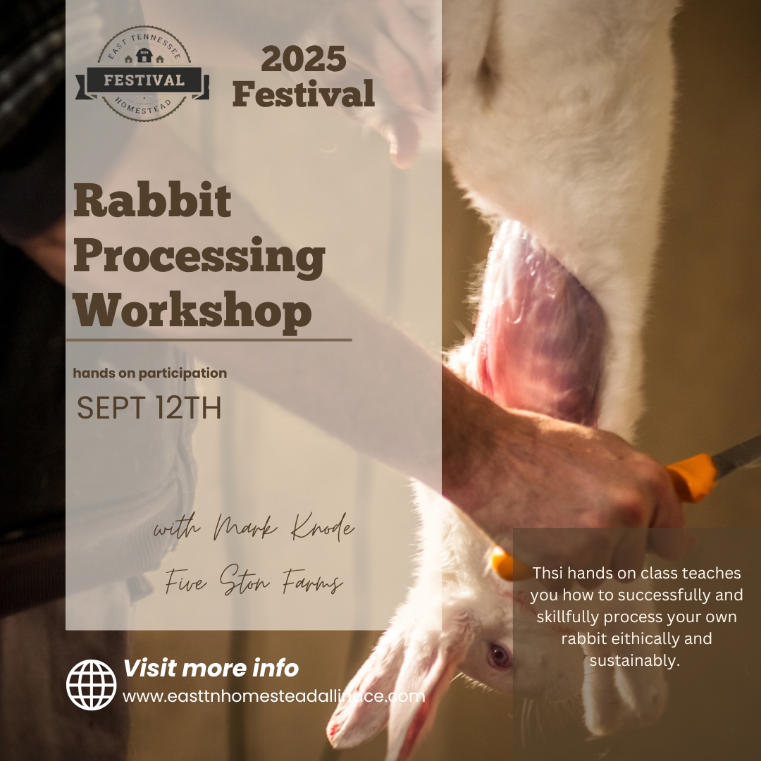 Rabbit Processing cover picture