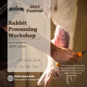 Rabbit Processing cover picture