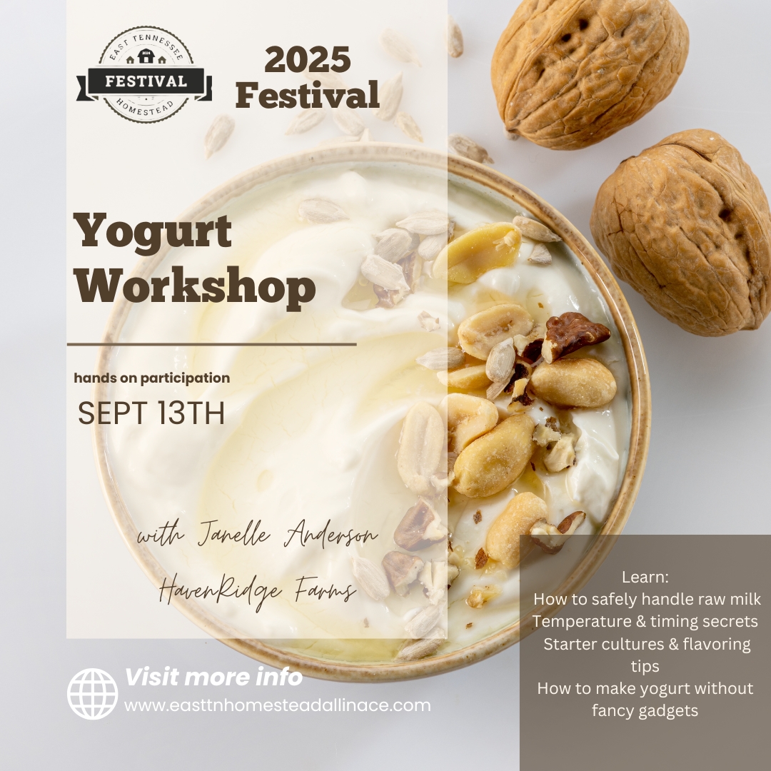 YOGURT MAKING WORKSHOP cover picture