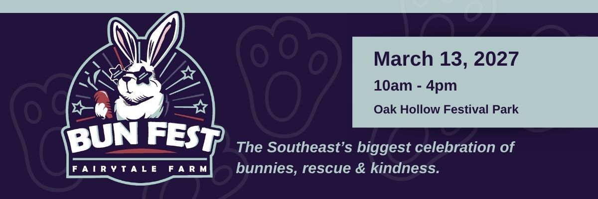 BunFest 2027