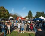 Viking Fest Minnesota 2026