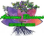 Awesome Blossoms