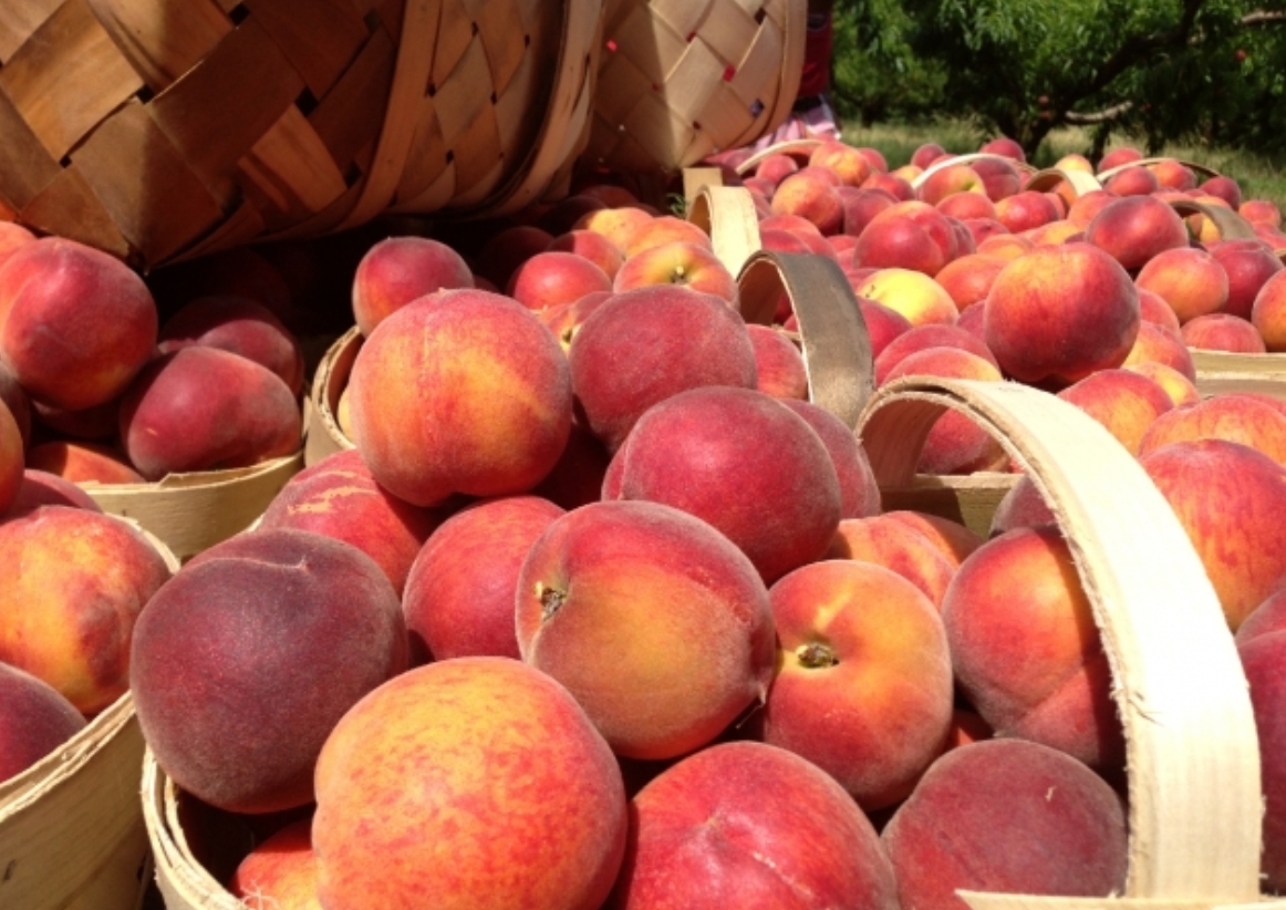 Georgia Belle Peach Festival