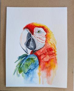 Tuesday Morning Watercolors (4 sessions) August-Birds cover picture